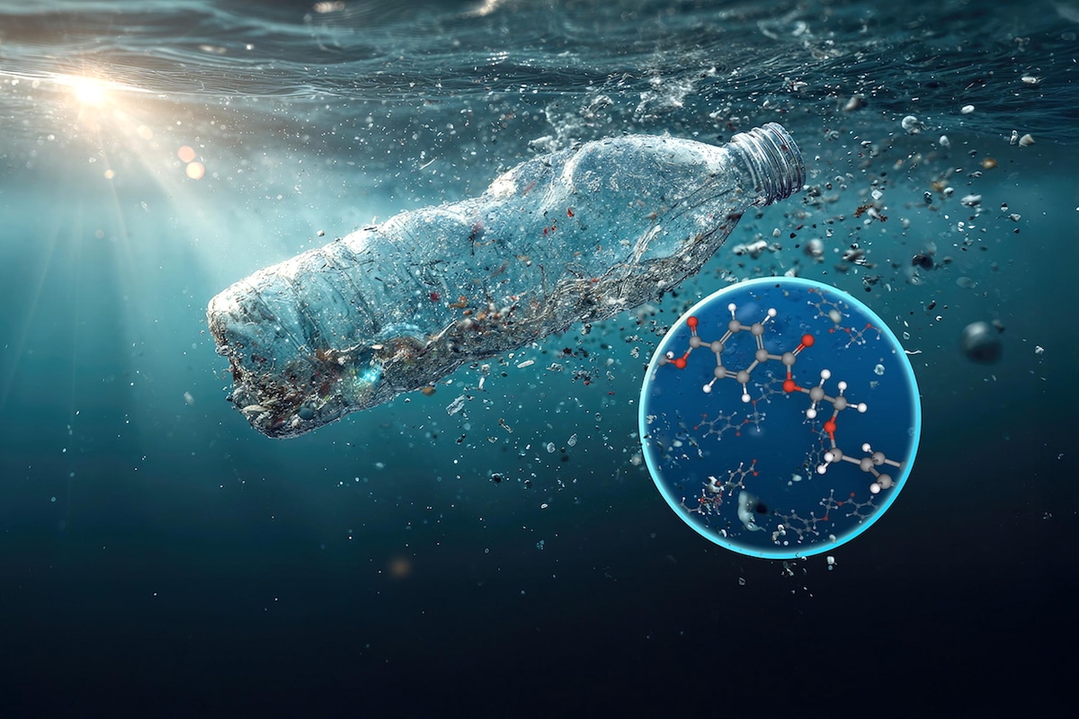 El CSIC desarrolla nanoflores magnéticas capaces de capturar nanoplásticos y reutilizarlos para descontaminar el agua