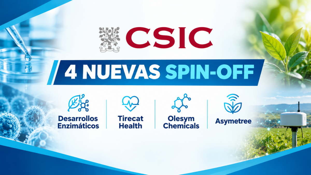 El CSIC impulsa cuatro spin-off para llevar al mercado tecnologías de salud, alimentación y sostenibilidad